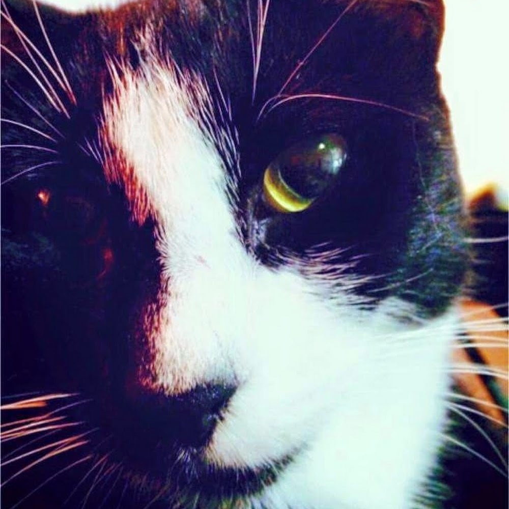 Meet your Posher, Jenny